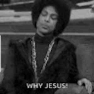 Meet your Posher, Ebony